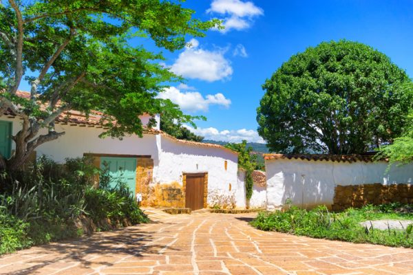 hacienda-primogenita-arvicacao