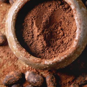 polvo-cacao-arvicacao-300x300